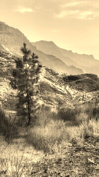 Szary + Sepia