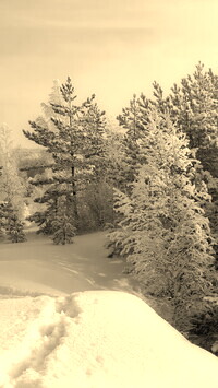 Szary + Sepia