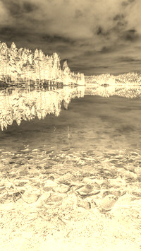 Sepia + Negatyw