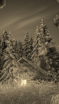 Szary + Sepia