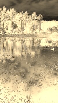 Sepia + Negatyw