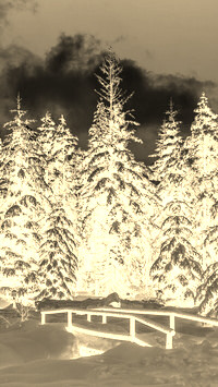 Sepia + Negatyw