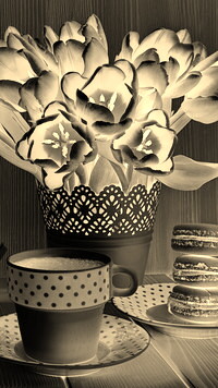 Sepia + Negatyw