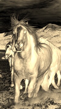 Sepia + Negatyw
