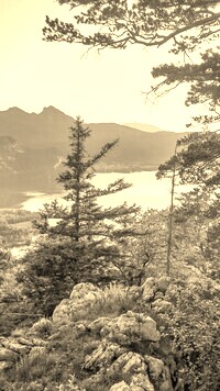 Szary + Sepia