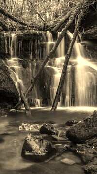 Sepia