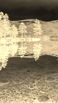 Sepia + Negatyw