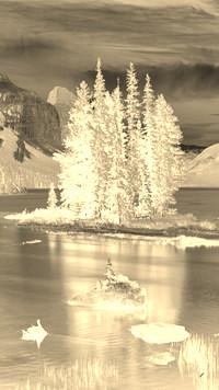 Sepia + Negatyw