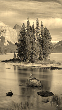 Sepia