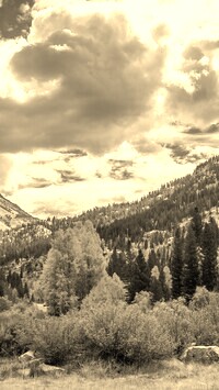 Szary + Sepia