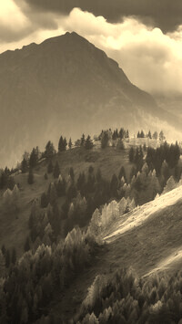 Szary + Sepia