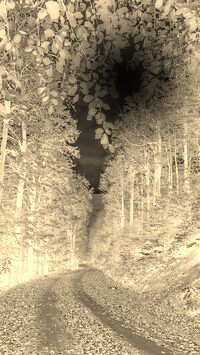 Sepia + Negatyw
