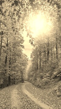Szary + Sepia
