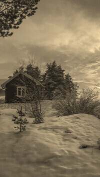 Szary + Sepia