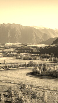 Sepia