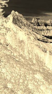 Sepia + Negatyw