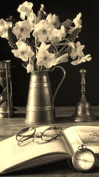 Szary + Sepia