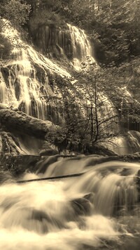 Sepia