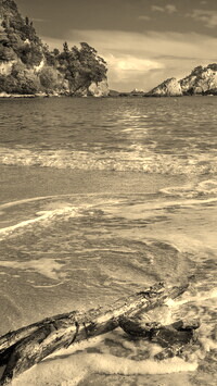 Sepia
