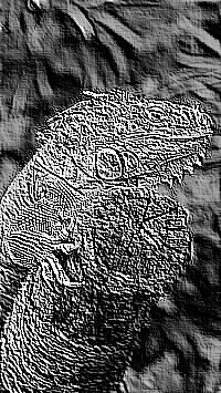 Skamielina