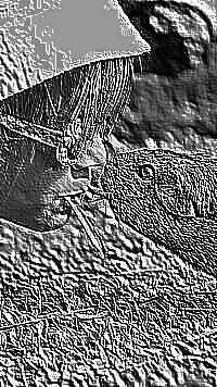 Skamielina