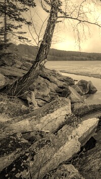 Szary + Sepia