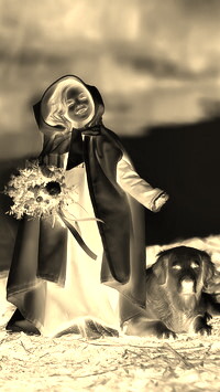 Sepia + Negatyw