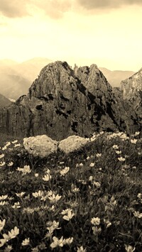 Sepia