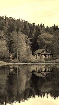 Sepia