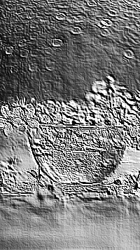 Skamielina