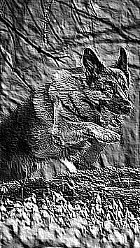 Skamielina