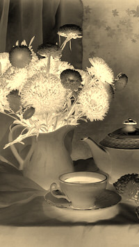 Sepia + Negatyw