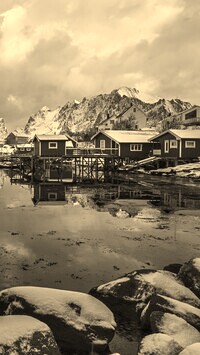 Szary + Sepia