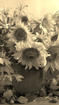 Sepia