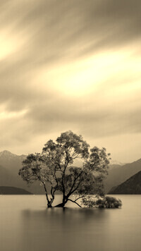 Szary + Sepia