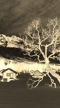 Sepia + Negatyw