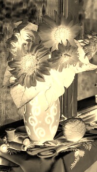 Sepia + Negatyw