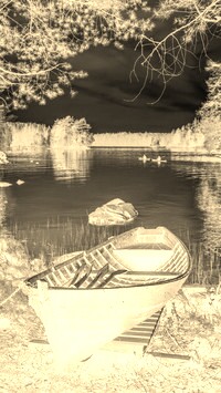 Sepia + Negatyw