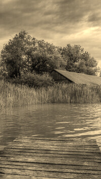 Sepia
