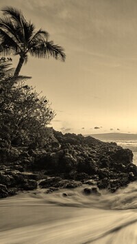 Szary + Sepia