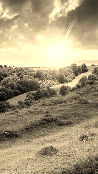 Sepia