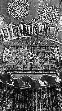 Skamielina
