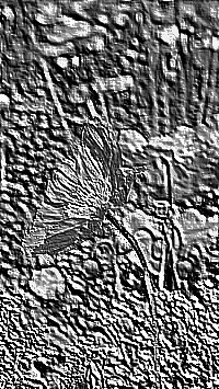 Skamielina
