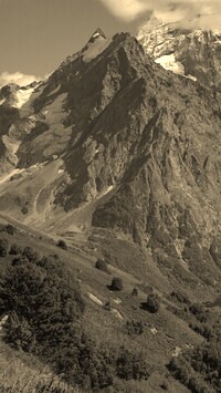 Szary + Sepia