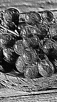 Skamielina