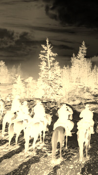 Sepia + Negatyw