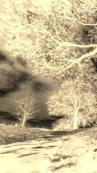 Sepia + Negatyw