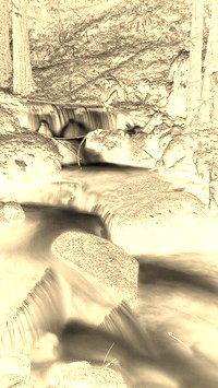 Sepia + Negatyw