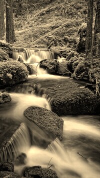 Sepia