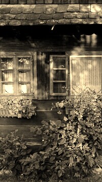 Sepia